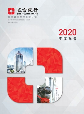 年度报告